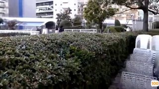 跟丰满大屁股熟女在后排玩隔山打牛